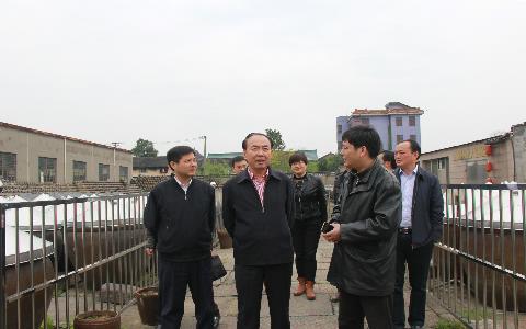 宿州市政协副主席、灵璧县委书记唐庆明赴长三