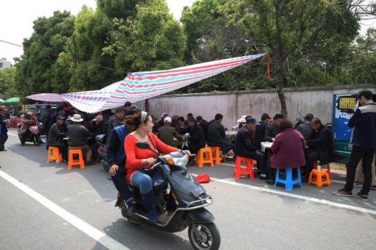 安徽退休老人公园扎堆打麻将 每天120桌场面壮