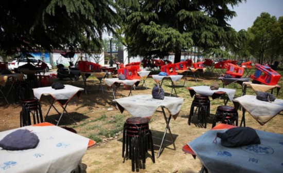 安徽退休老人公园扎堆打麻将 每天120桌场面壮