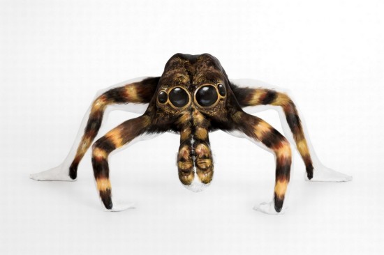 真假难辨!全球令人惊叹的人体彩绘艺术