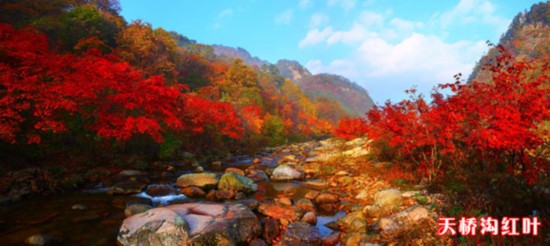 天桥沟森林公园景区来沈开旅游推介会