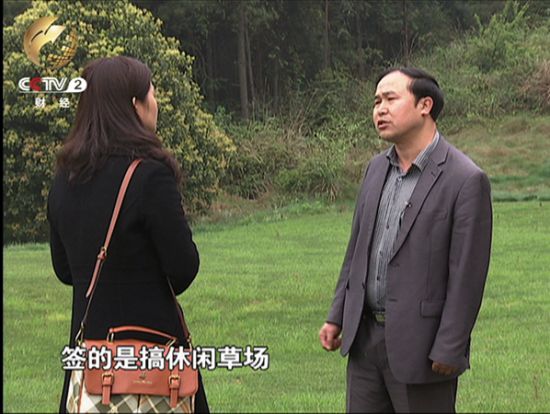 獨山縣林業局的工作人員表示，果嶺上的這些樹苗是大概十天前栽的。但事實上，就在一天以前，記者在這個果嶺上還沒有看到任何樹苗。