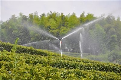 农业灌溉视频_玉米喷灌机自动浇地