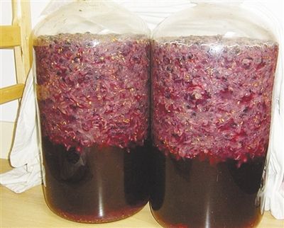 危险的自制食品 自酿葡萄酒喝进医院