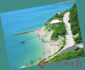 巽寮湾海鲜加工_为了一颗蚝,找遍一片海(2)