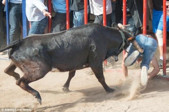 西班牙奔牛节男子不幸被公牛顶中屁股(图)