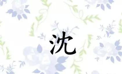 姓吴的人口有多少人_姓吴的人