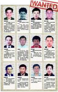 中文版紅色通緝令上部分外逃人員信息整理/吳飛