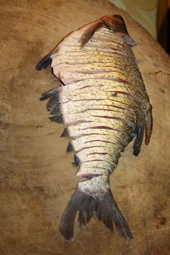 条武昌鱼切成4米长 新疆一男子获称中国长鱼第