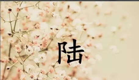 姓陆人口有多少_蒯姓中国有多少人口(3)