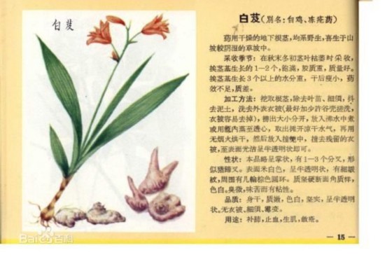 没钱买种子 山阳这人偷别人家的药材种自家地