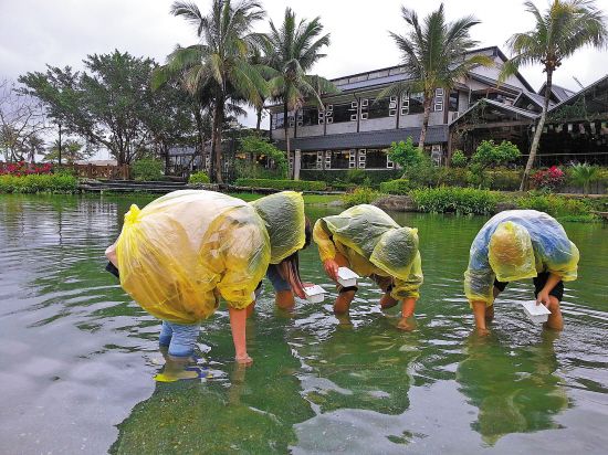 台湾花莲：花东纵谷浅玩深游