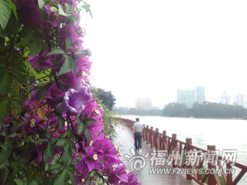 泽兰省人口_紫茎泽兰