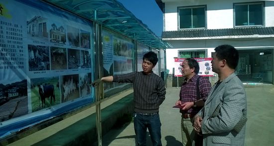 华西村人均收入_贵州人均纯收入(3)