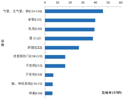 肺癌居河南十大高发肿瘤首位 女性比男性更抗癌