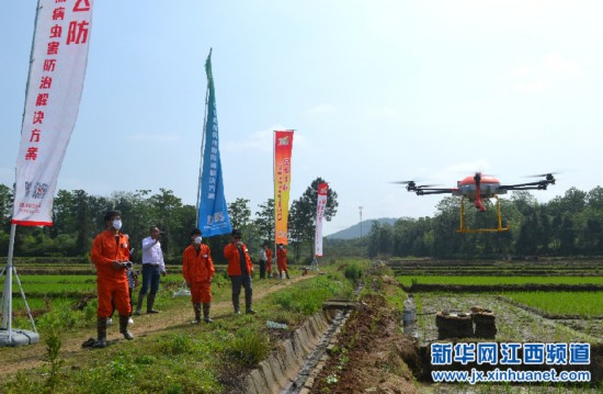 江西省新干县人口_江西新干 鱼跃人欢丰收乐(2)