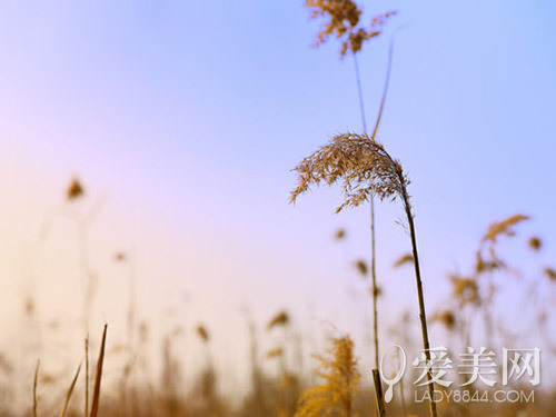 五一出行不扎堆 露营or看展惬意走起!