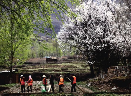 海东农村环境综合整治使乡村环境卫生大改观