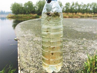 新京报讯 五一期间，水库出游成为不少市民的假期选择。然而，据多位市民反映，北京沙河水库受到污染，周边死鱼、垃圾满地。