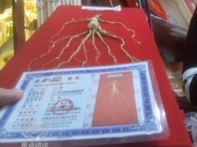 有虛假檢測報告的人參。