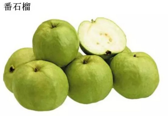 常吃番石榴抗衰老!五月最该吃的9种应季水果