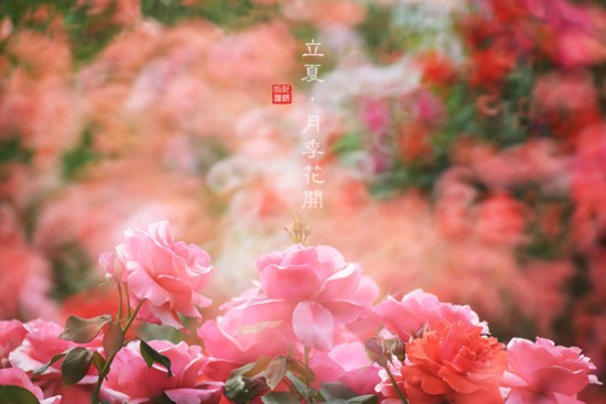 名家笔下的夏天:汪曾祺吃西瓜讲究 余光中经历