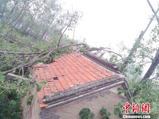 叶县乡镇人口_叶县乡镇地图