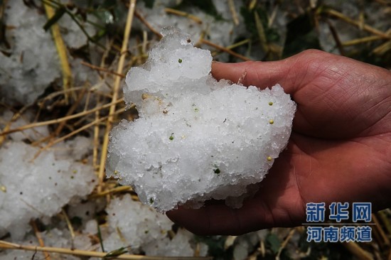 河南平顶山遭遇雷雨冰雹天气
