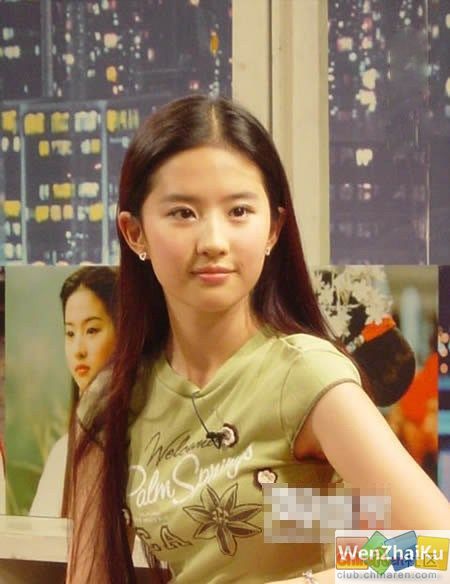 冯绍峰身价10亿陈慧琳父亲系香港富豪 明星家