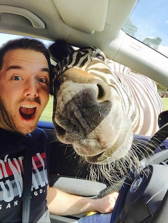 盘点动物抢镜与人合照搞笑瞬间 (组图)