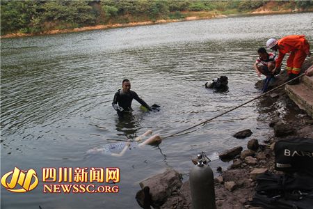 成都龙泉一年轻女子跳河轻生 蛙人潜水打捞(图