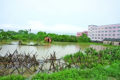 龙田镇人口_全国重点镇名单公布,龙田镇入选 一起为家乡点赞