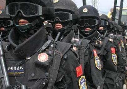 特警力量30、31集剧情介绍 重案组中小老虎会