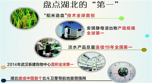 湖北战略支点开新局 全省市场主体总户数中部