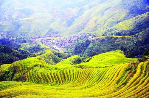 龙胜 大寨村:一个被旅游改变的村子