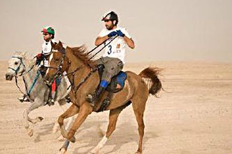 迪拜哈曼丹王子童年照片曝光 喜爱收藏汽车坏