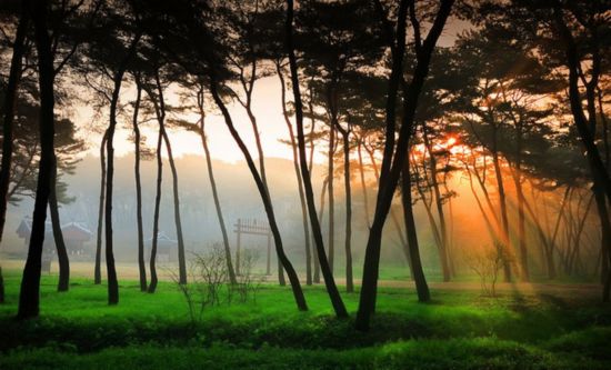 最全盘点:畅游韩国40大最美旅游景点