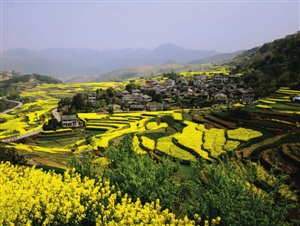 尚in农业,休闲新体验 温州沿江都市休闲农业一日游