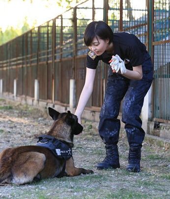 电视剧特警力量全集1-52集分集剧情介绍至大结