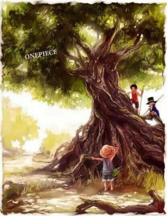 海贼王漫画785话图文剧透 路飞4档觉醒用火箭