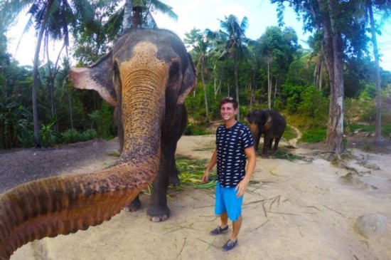 加大学生泰国喂大象 遭大象抢相机自拍