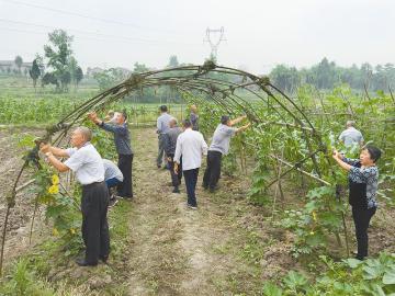 解析乡镇养老院的幸福密码--领袖人物纪念馆