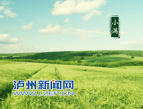 泸州后天将降温8℃ 小满并非盛夏到