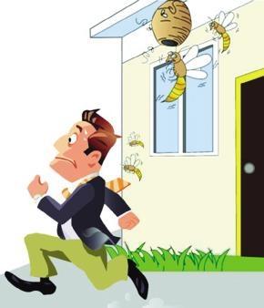 被马蜂蛰了注意事项:清洗 涂药 就医