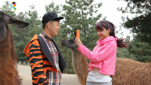 杜海涛沈梦辰热恋圈少爷证实炒作 沈梦辰疑似