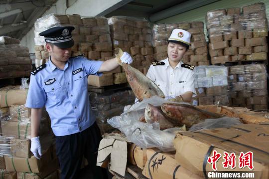 黄埔海关查获31亿元特大走私进口冻水产品案