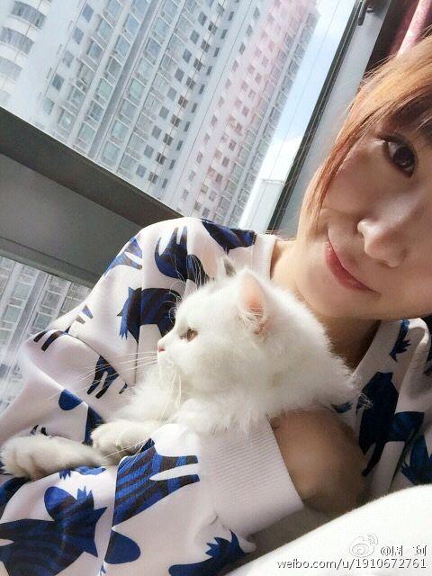 斗鱼<em>tv小智</em>照片曝光 孙立人花花郭mini领衔lol斗