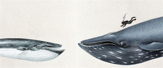 p44