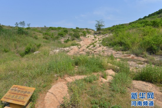 图片版权归原作者所有