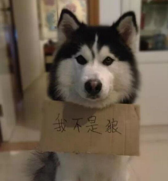 \